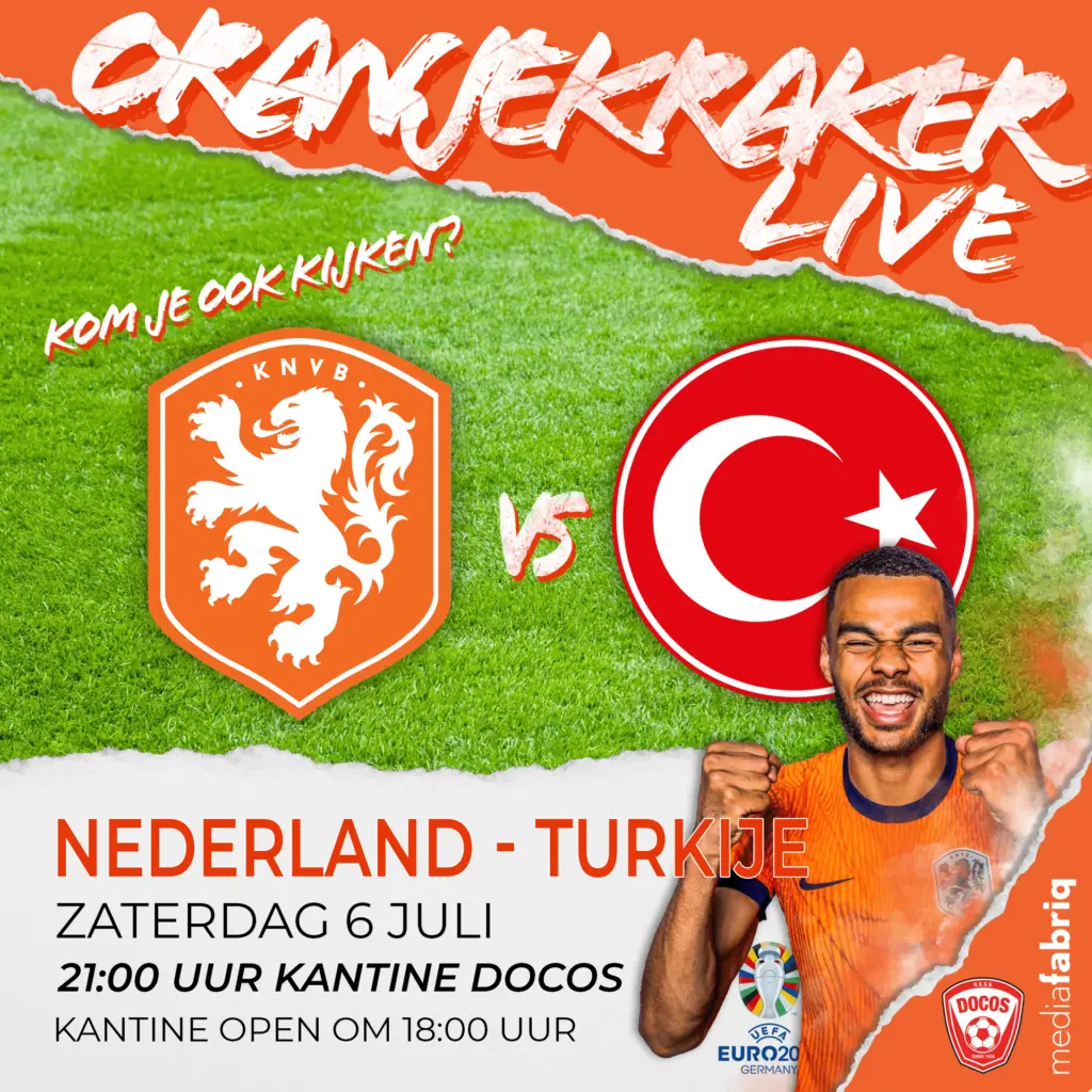 Nedtur